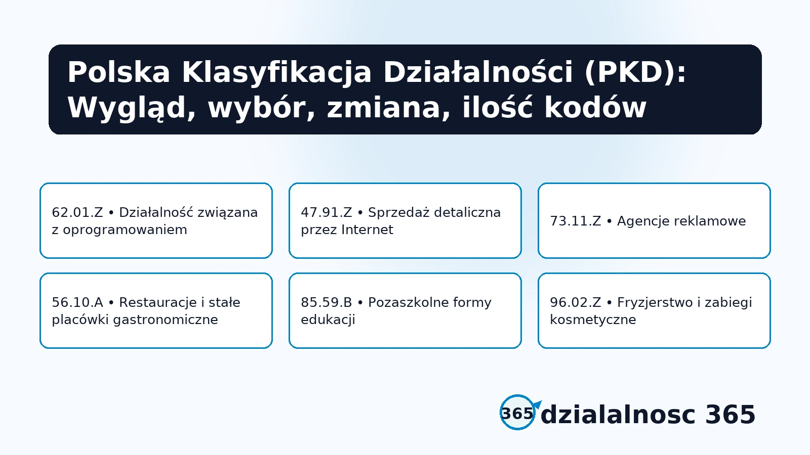 Polska Klasyfikacja Działalności (PKD): Wygląd, wybór, zmiana, ilość kodów